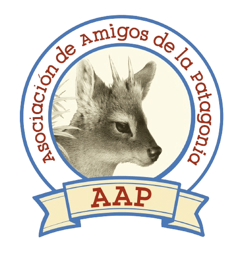 LOGO-AAP-EN-PNG__1_-removebg-preview